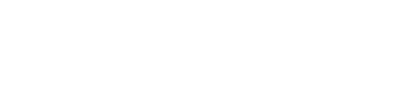 2N