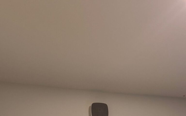 Witte melder tegen het plafond van een woonruimte, gekoppeld aan het alarmsysteem